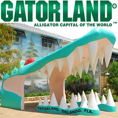 gatorlandpic