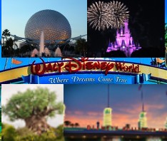 disneyworldpic